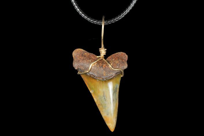 Fossil Mako Tooth Necklace - Bakersfield, California #130885